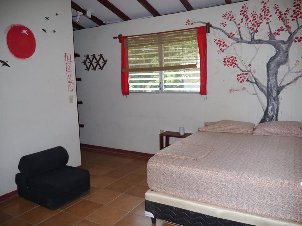 Free Spirit Hostel Transito Luaran gambar